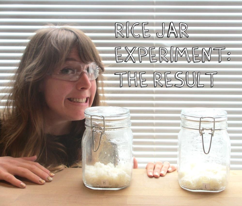 Rice jar experiment the result Magical Daydream